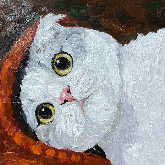 Peekaboo White Cat Oil Painting — complete artwork, square product image